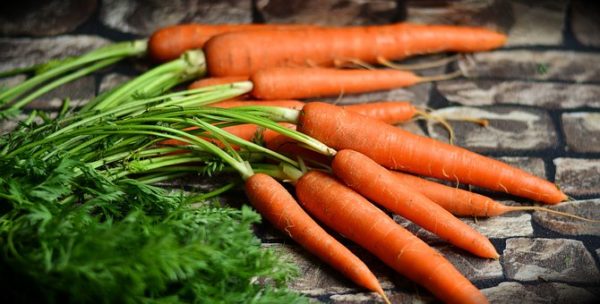 Carottes à la botte