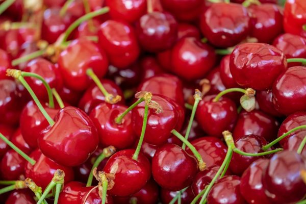 Cerises gros calibre