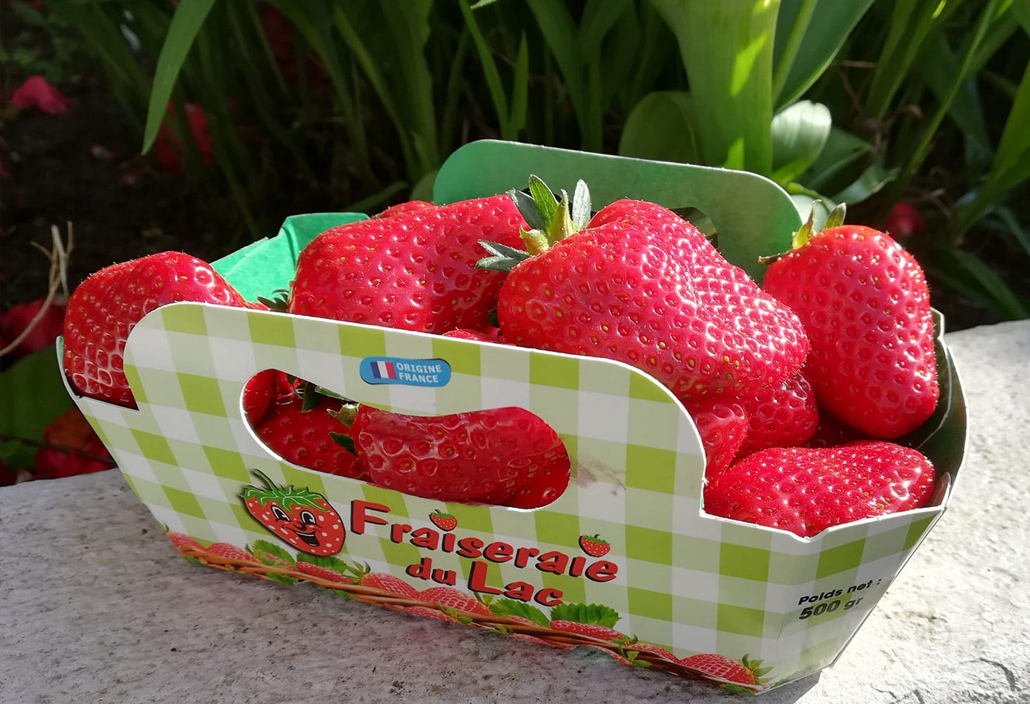 Marché du Lac La Fraiseraie du Lac Producteur de fraises du Lac de