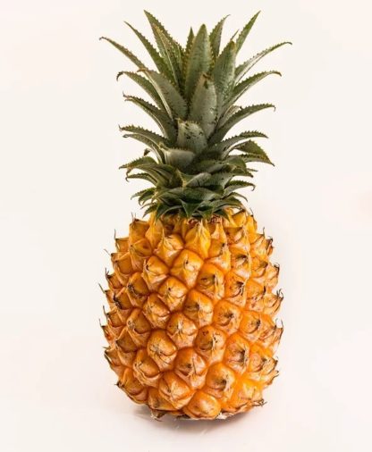 Ananas côte d'Ivoire